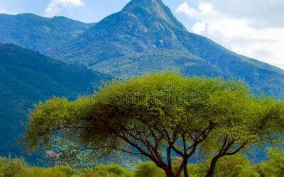 Mount Longido