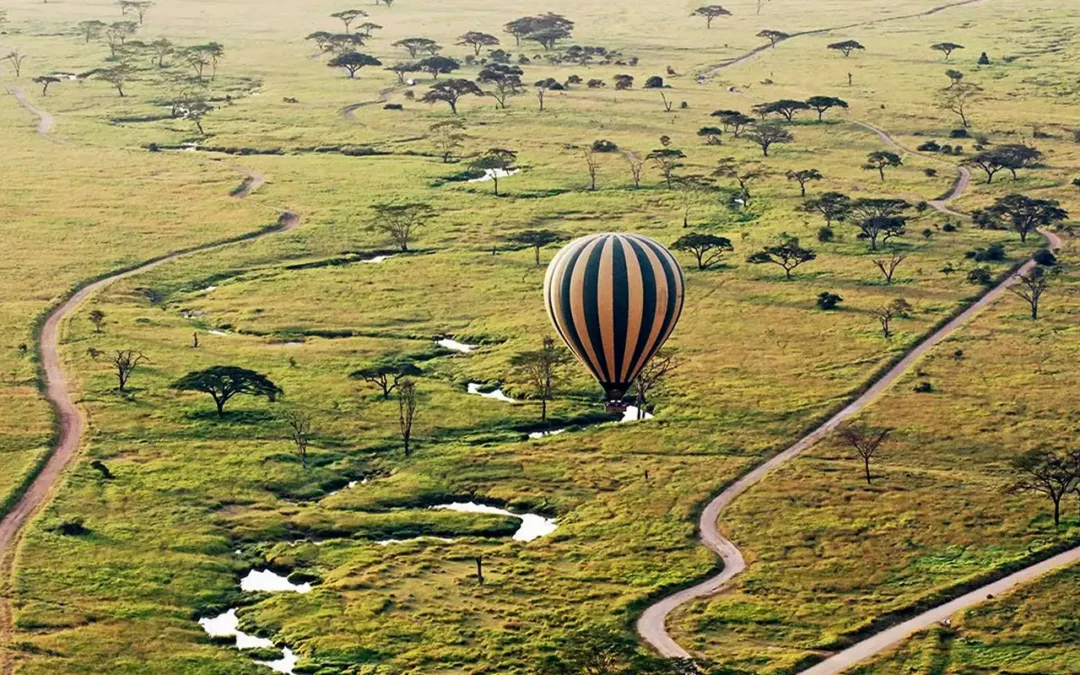 Unveiling the Wonders of a Serengeti Hot Air Balloon Safari