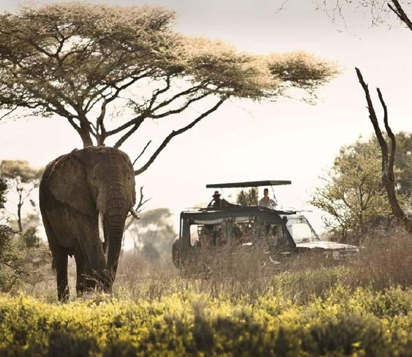 Tanzania Safari packages Enjolet Africa Safari